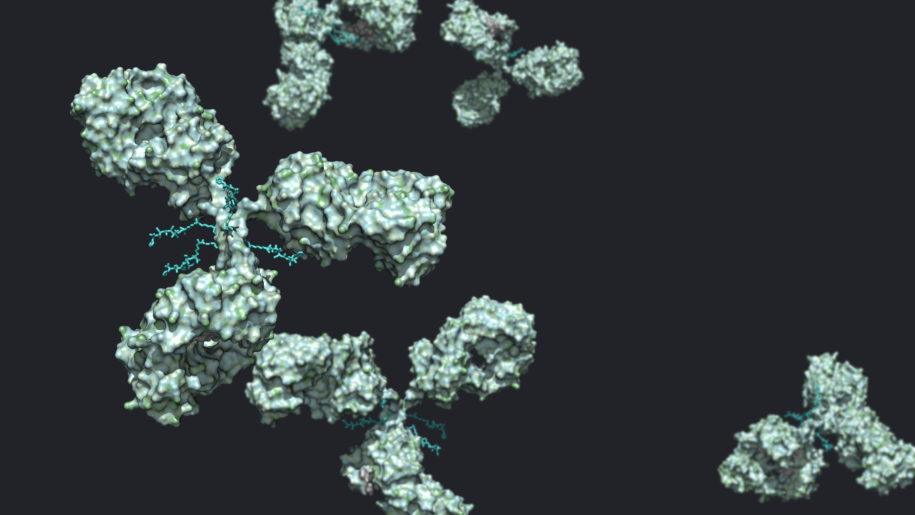3D illustration of an antibody-drug conjugate cancer therapy featuring an IgG antibody linked to cytotoxic payloads for targeted oncology treatment. | Image credit: © huenstructurebio.com - stock.adobe.com