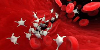 3d rendered illustration of platelets | Image Credit: © Sebastian Kaulitzki - stock.adobe.com