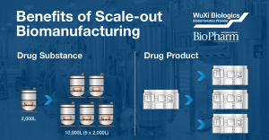 Scale-out Manufacturing – A Critical Risk Mitigation Strategy for Biologics Production