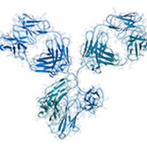 Shaping IR Spectroscopy into a Powerful Tool for Biopharma Characterizations