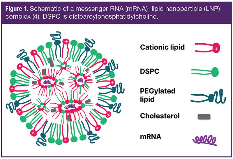 lipid nanoparticle c v Taking a Closer Look at Lipid Nanoparticle Characterization