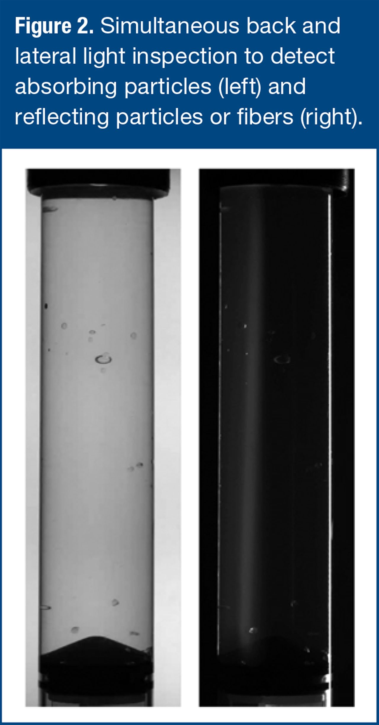 The Ins and Outs of Syringe Inspection