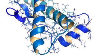 molekuul.be/Stock.Adobe.com—antibody molecule showing glycosylation