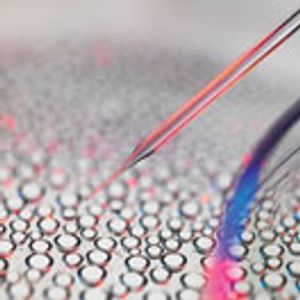 Changing the Culture of Cell Culture: Applying Best Practices and Authentication to Ensure Scientific Reproducibility