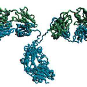 Optimizing Protein Aggregate Analysis by SEC