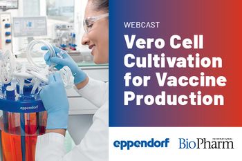 Vero Cell Cultivation for Vaccine Production 
