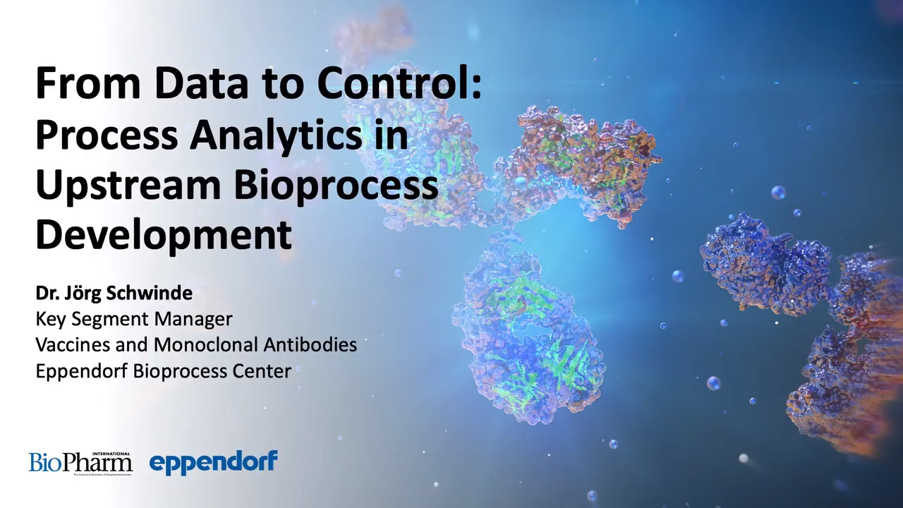 From Data to Control: Process Analytics in Upstream Bioprocess Development