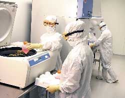 Mastering Cell Bank Production