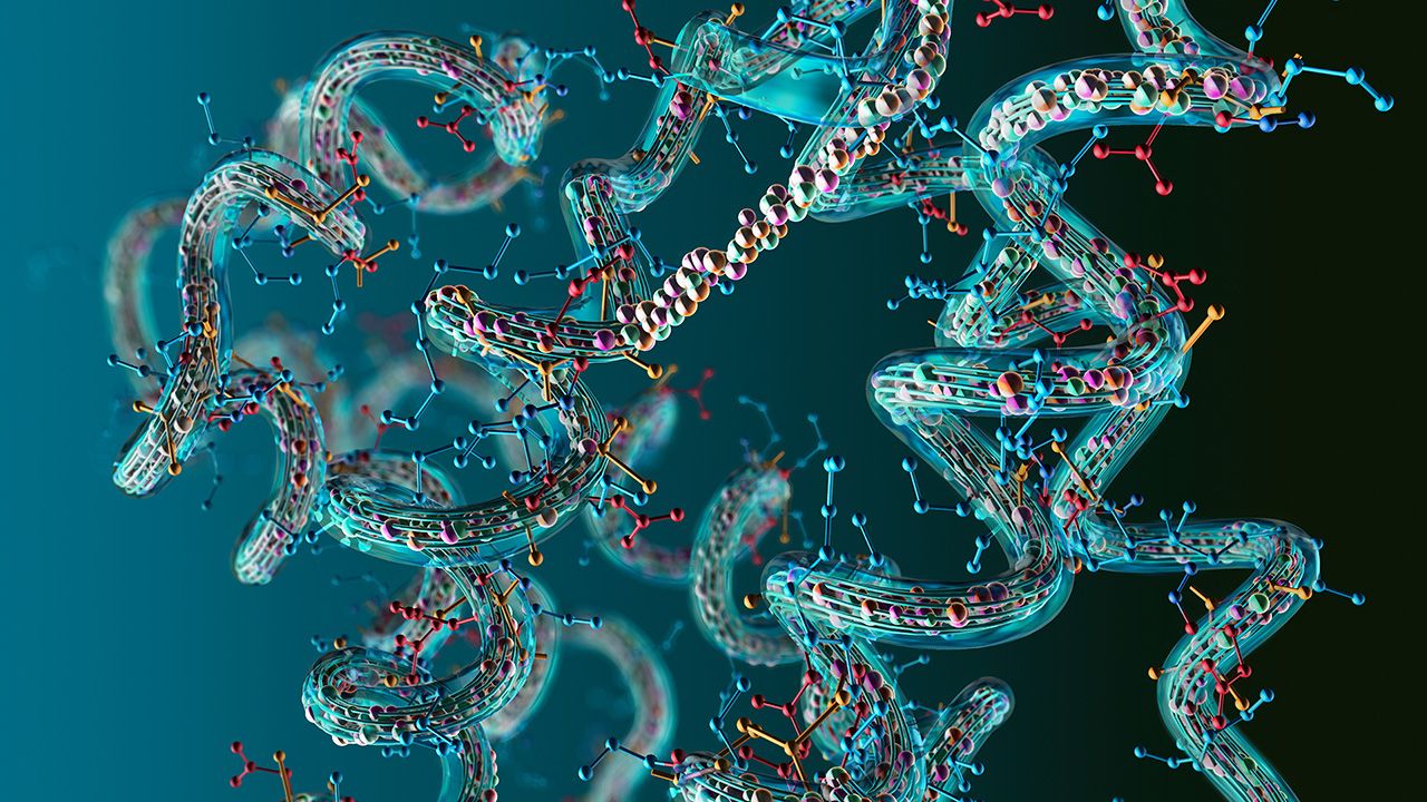 Chain of amino acid or bio molecules called protein - 3d illustration | Image credit: © Christoph Burgstedt - © Christoph Burgstedt - stock.adobe.com