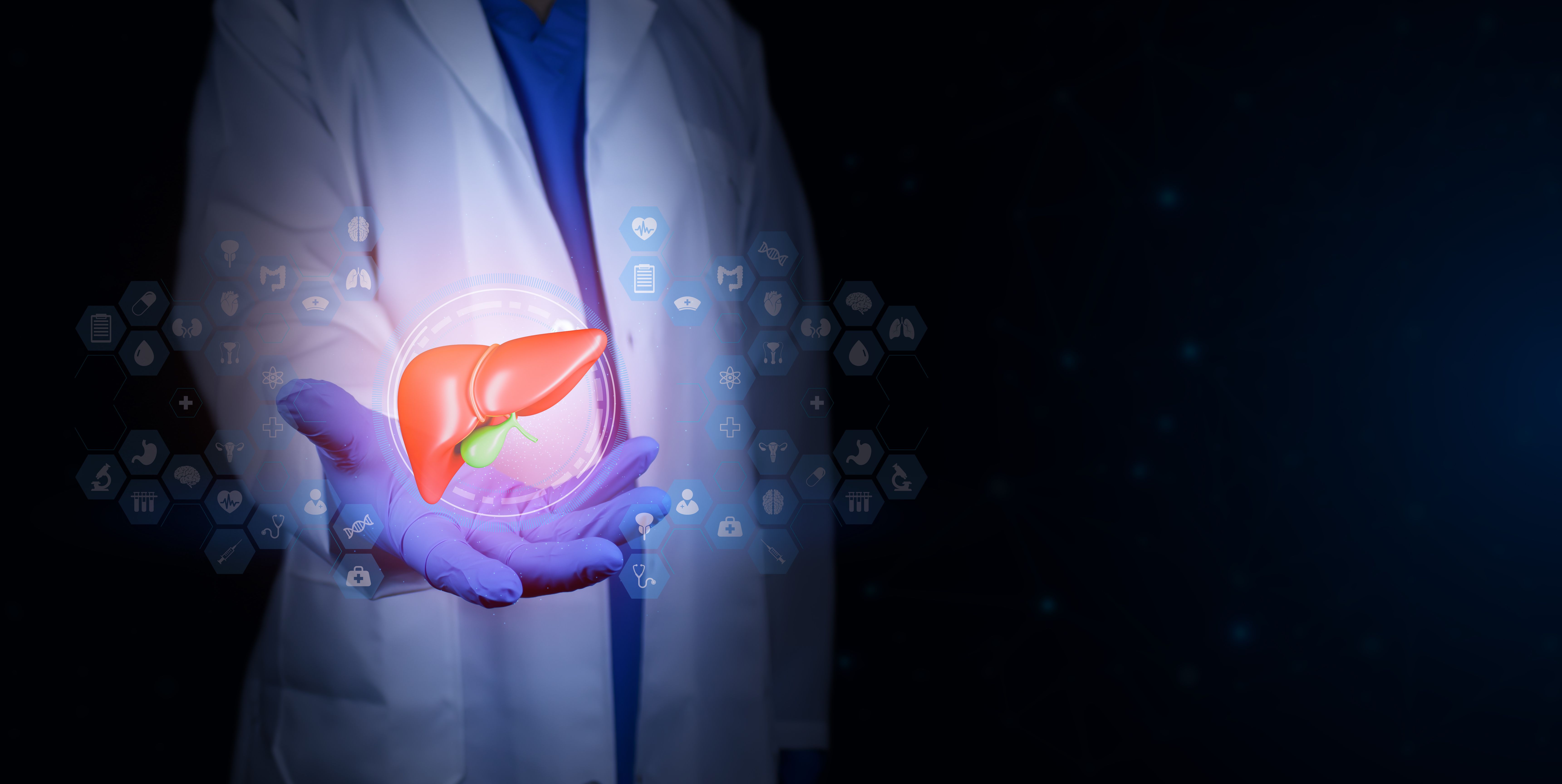 Hepatologist holding an anatomical model of the liver. Concept of liver health, prevention, liver function, medical consultation, liver diseases, and clinical monitoring. Isolated. | Image Credit: © Tom - stock.adobe.com