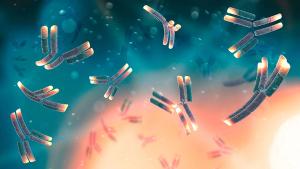 A monoclonal antibody (mAb or moAb) is an antibody made by cloning a unique white blood cell. All subsequent antibodies derived this way trace back to a unique parent cell. Coronavirus. 3d render| ©Naeblys - stock.adobe.com