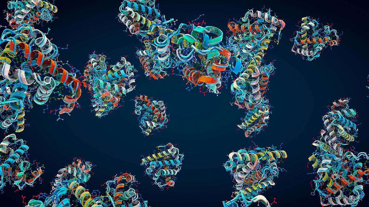 Colorful chain of amino acids or bio molecules called proteins - 3d illustration | Image Credit: © Christoph Burgstedt - © Christoph Burgstedt - adobe.stock.com