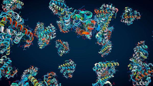Colorful chain of amino acids or bio molecules called proteins - 3d illustration | Image credit: © Christoph Burgstedt - © Christoph Burgstedt - stock.adobe.com