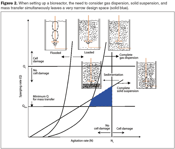 Applying Computational Fluid Dynamics Technology in Bioprocesses-Part 1