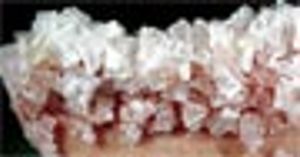 Qualification of Raw Materials for Biopharmaceutical Use