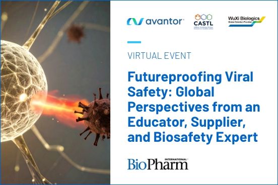Futureproofing Viral Safety: Global Perspectives from an Educator, Supplier, and Biosafety Expert