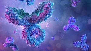 Antibodies, immunoglobulin Ig proteins 3D medical background. Immune system, IgM, IgG, IgE, IgD, IgA antibodies glycoproteins, specific antigens against coronavirus sars-cov-2 covid-19 influenza virus | Image credit: © Corona Borealis - © Corona Borealis - stock.adobe.com