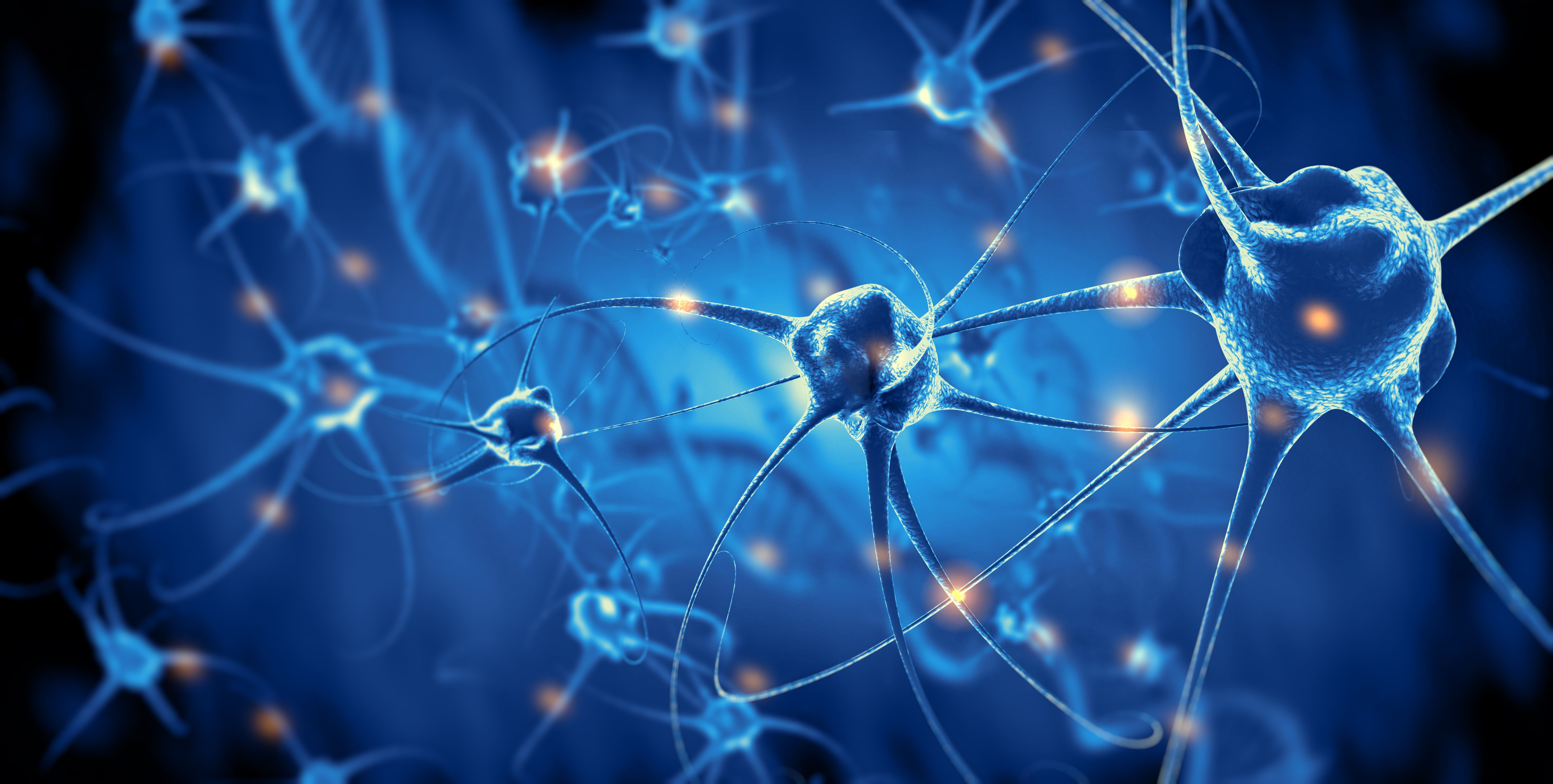 Three-dimensional illustration of nerve cells and neural signaling, representing neurological disorders such as chronic inflammatory demyelinating polyneuropathy. | Image Credit: © Giovanni Cancemi - stock.adobe.com 