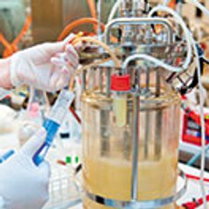 Bioreactor Monitoring: More to Measure than Glucose In, mAb Out