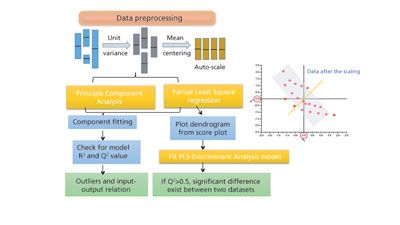 Use of Multivariate Data Analysis in Bioprocessing