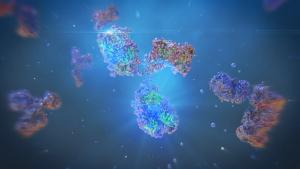 Multiple antibody molecules rendered in blue and multicolor tones against a dark background. | Image Credit: © Yuriy - stock.adobe.com