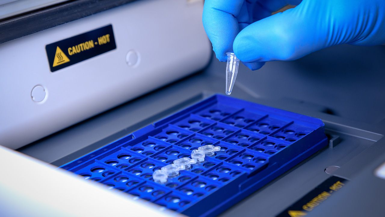 Loading a DNA tube into a PCR (polymerase chain reaction) thermocycler machine in a bioscience laboratory. Concept of science, laboratory and study of diseases. Coronavirus (COVID-19) treatment | Image Credit: © dhvstockphoto - © dhvstockphoto - stock.adobe.com