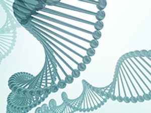 DNA (1) copy_225.jpg