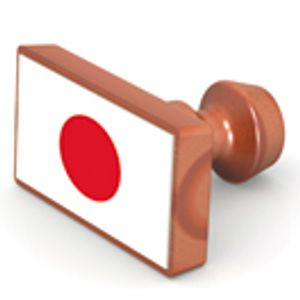 Japan Common Technical Document: Bracketing Strategies for the Manufacturing Process