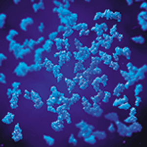 Separation and Purification of a Tissue-Type Plasminogen Activator from Trichoderma reesei