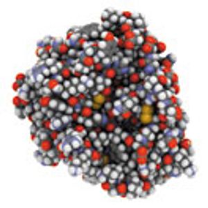 Kinetic and Structural Differentiation of Trypsin from Different Origins