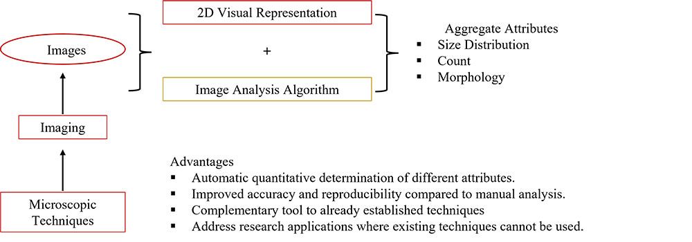 Algorithm Analyzing Images Image Analysis Algorithm for Therapeutic mAb Aggregate Analysis