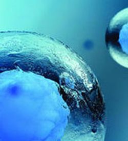 Custom-Cell Products: Diversified In Vitro Models