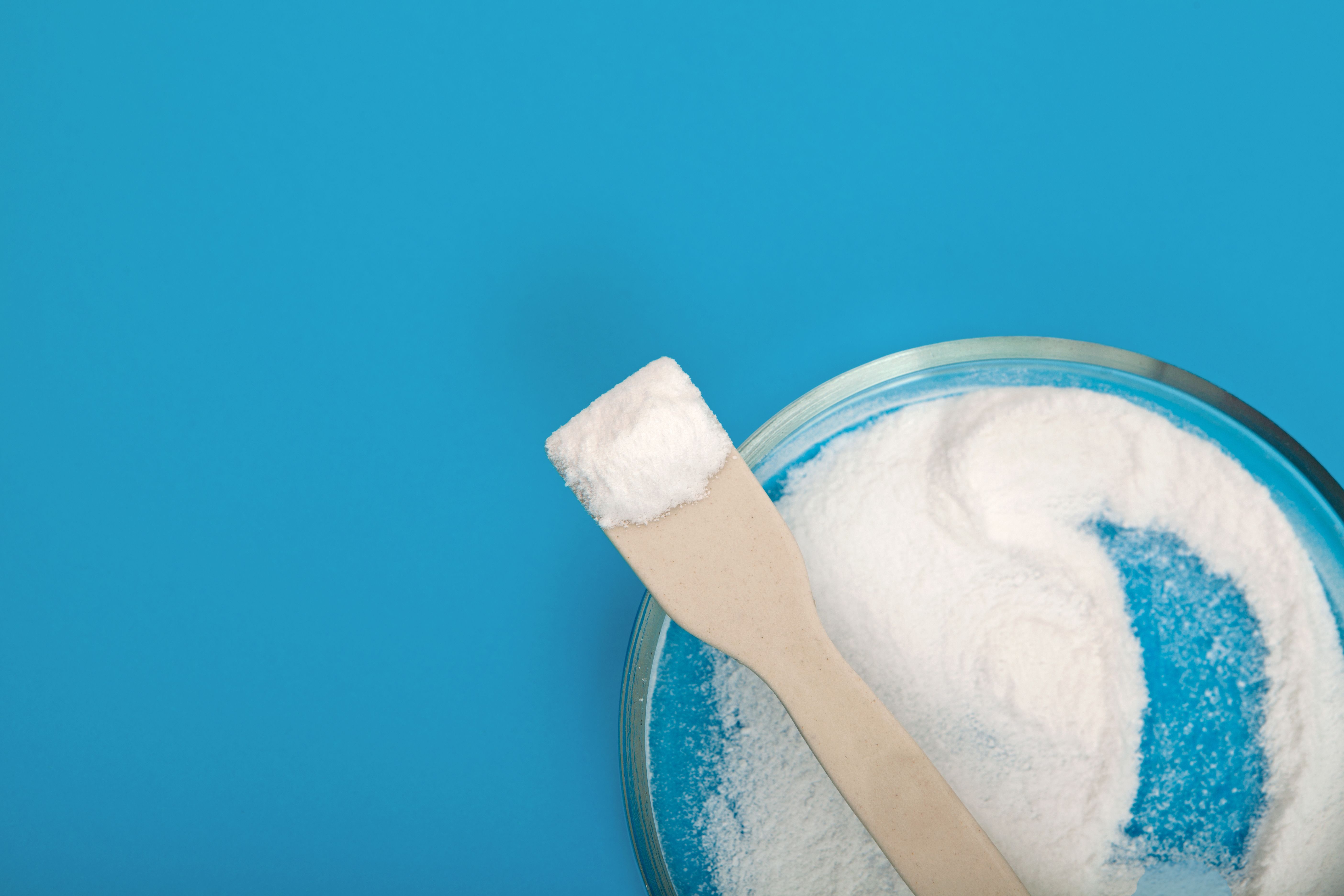 White powder in a round glass Petri dish on a blue background, with a wooden spatula resting in the dish and holding a small mound of the powder. | Image Credit: © AB-7272 - stock.adobe.com