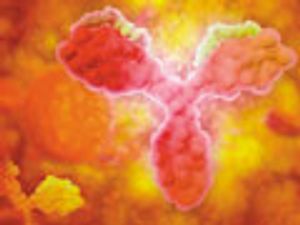 Defining Critical Quality Attributes for Monoclonal Antibody Therapeutic Products