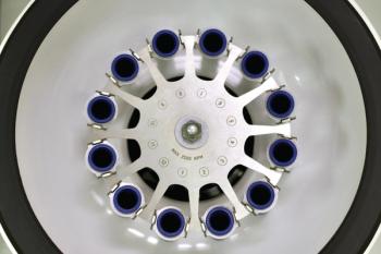Image Credit: © uly.u.v – stock.adobe.com