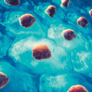 Harvest of Human Mesenchymal Stem Cells from Microcarriers