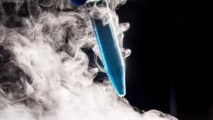 Safeguarding Biologics— Blending Engineering Ingenuity  and Managerial Excellence