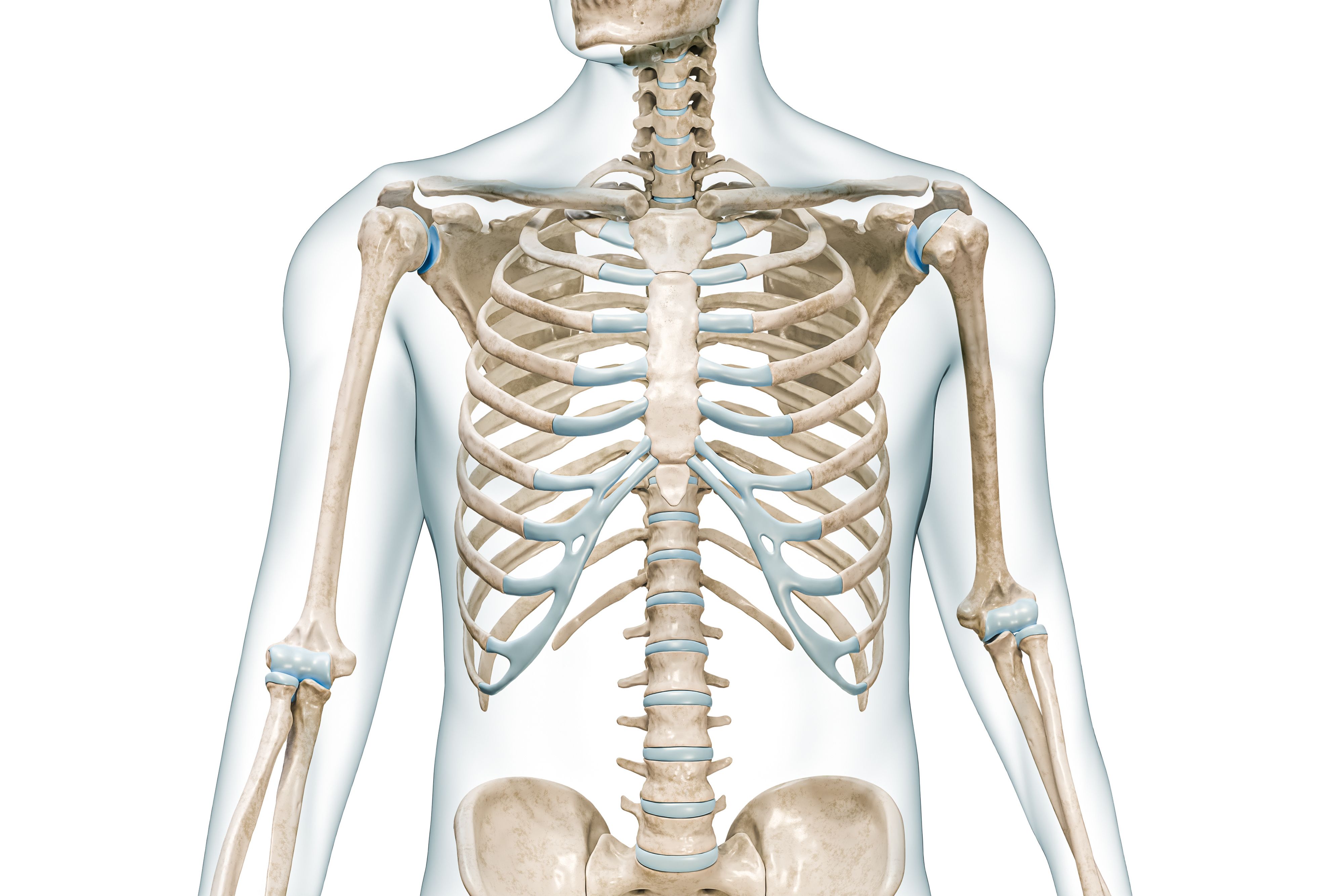 Two Celltrion Denosumab Biosimilars Now Available in US