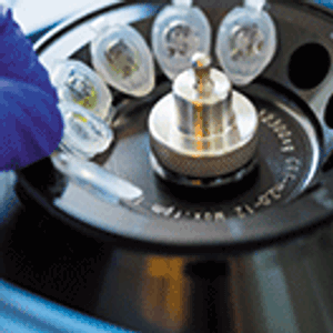 Development of Purification for Challenging Fc-Fusion Proteins