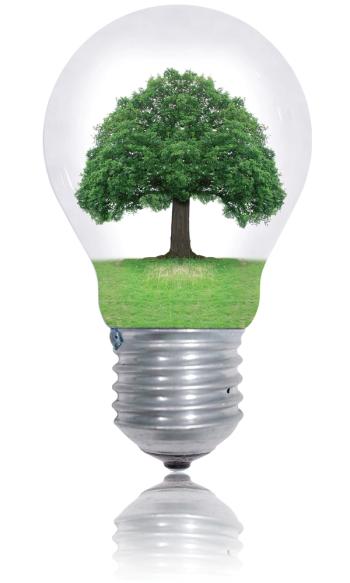 Protect environement | Image Credit: ©Y. L. Photographies -stock.adobe.com
