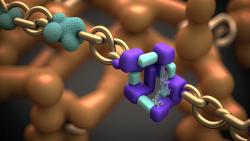 Pushing the Barriers in Next-Gen Antibody Development