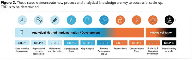 Outlining Successful Steps for Scale-Up and BLA Filings