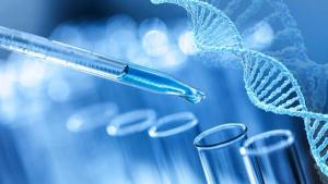 Science laboratory test tubes, laboratory equipment | Image Credit: © BillionPhotos.com - © BillionPhotos.com - stock.adobe.com