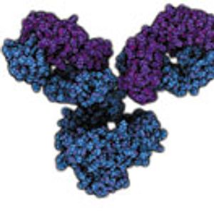 Impact of Manufacturing-Scale Freeze-Thaw Conditions on a mAb Solution