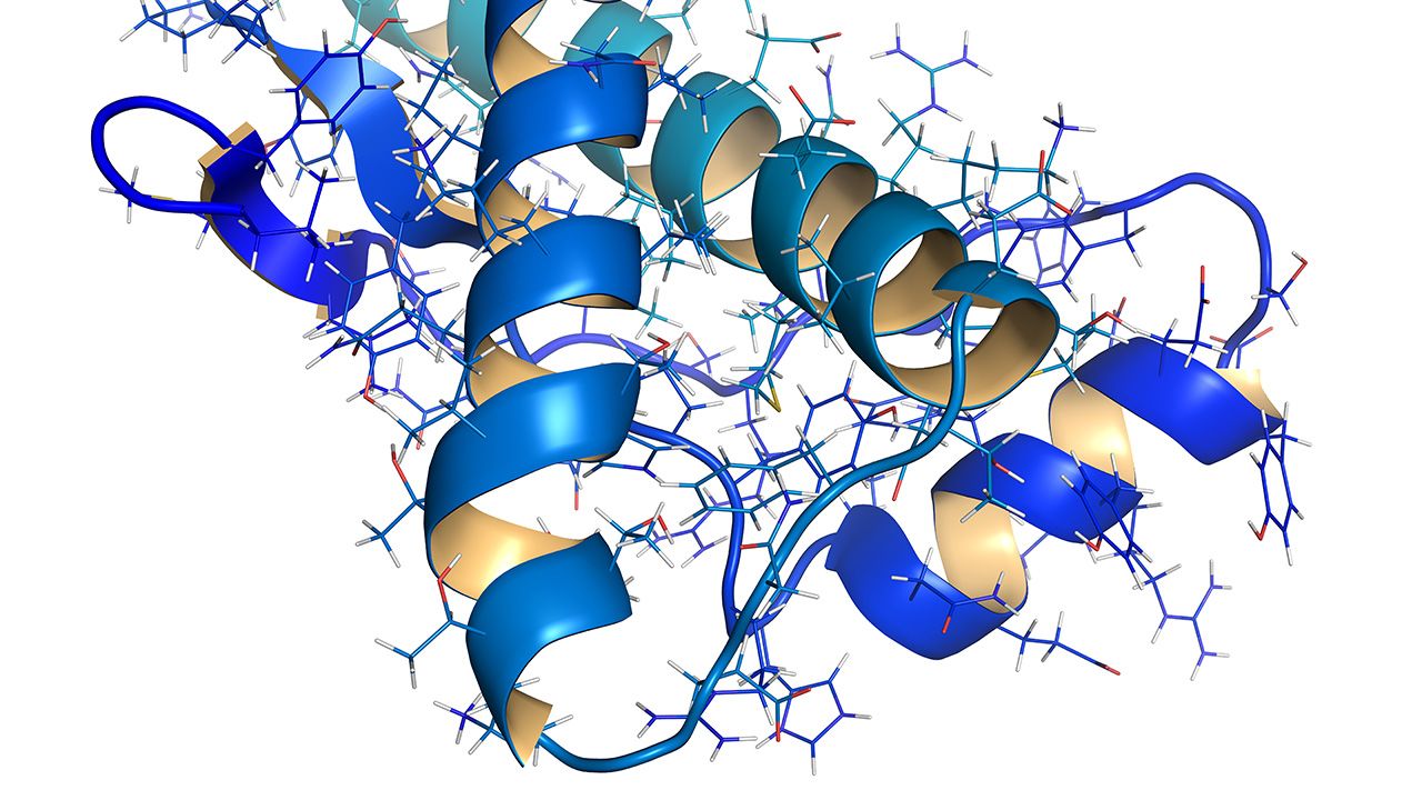 Human prion protein (hPrP), chemical structure. | Image credit: © molekuul.be - © molekuul.be - stock.adobe.com 