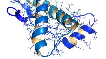 Human prion protein (hPrP), chemical structure. | Image credit: © molekuul.be - © molekuul.be - stock.adobe.com 