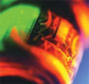 Salary Survey: Is Your Paycheck as Robust as Your Proteins?