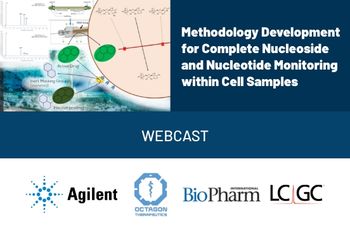 Methodology Development for Complete Nucleoside and Nucleotide Monitoring within Cell Samples