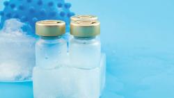 Prioritizing Formulation Strategies for Temperature-Sensitive Biotherapeutics