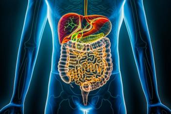 3D rendering illustration of the human digestive system and gastrointestinal tract organs. | Image Credit: © Matthieu - stock.adobe.com